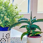 Splendide T4 avec balcon